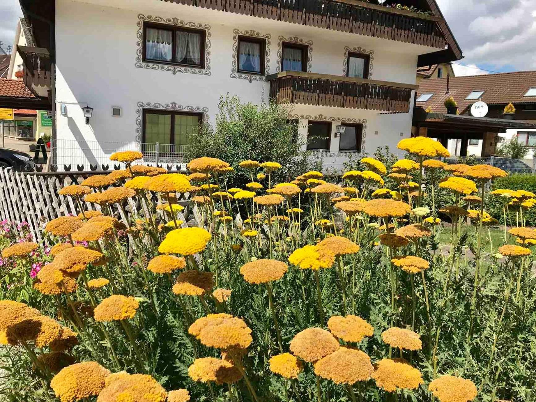 Rötenbach Gaestehaus Roessle מראה חיצוני תמונה